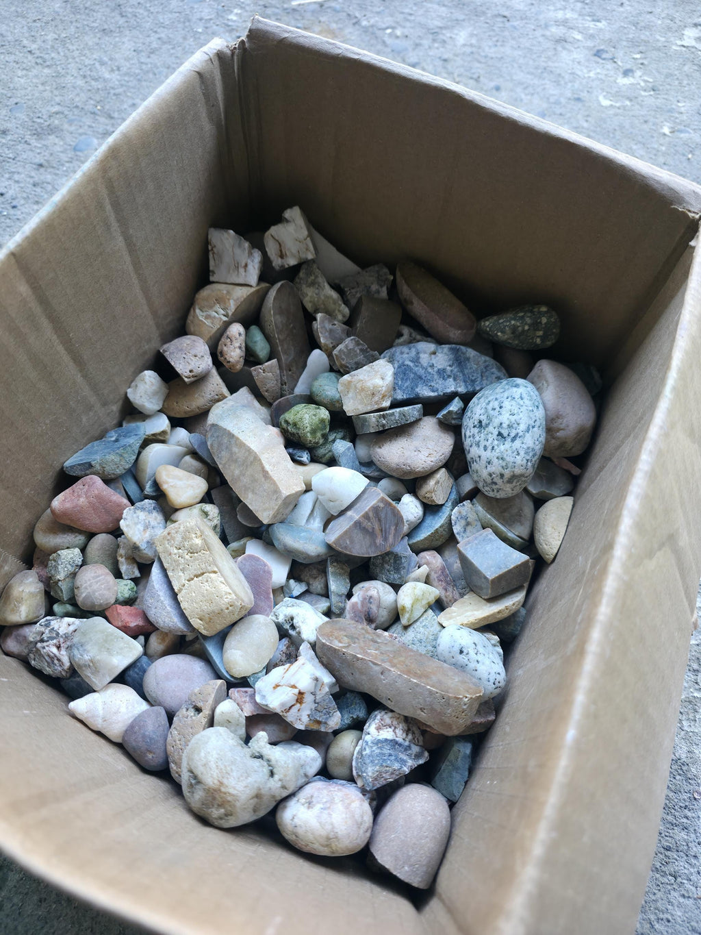 Raw Tumbler Rocks: 12oz Bundle - Raw Pacific Northwest PNW Stones