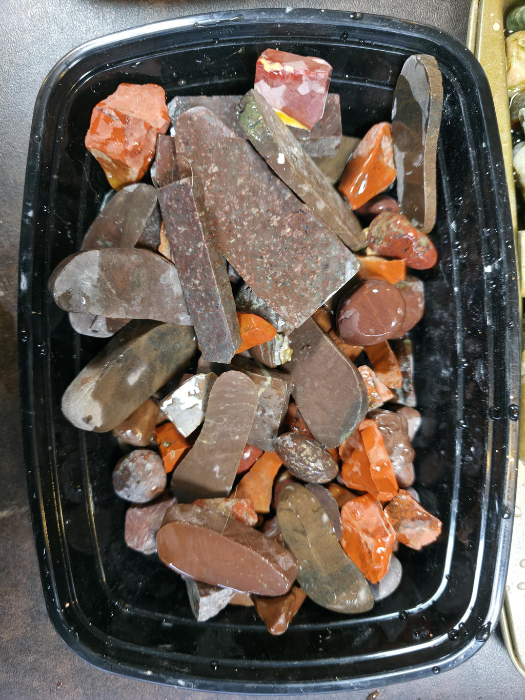 Raw Tumbler Rocks: 12oz Bundle - Raw Pacific Northwest PNW Stones