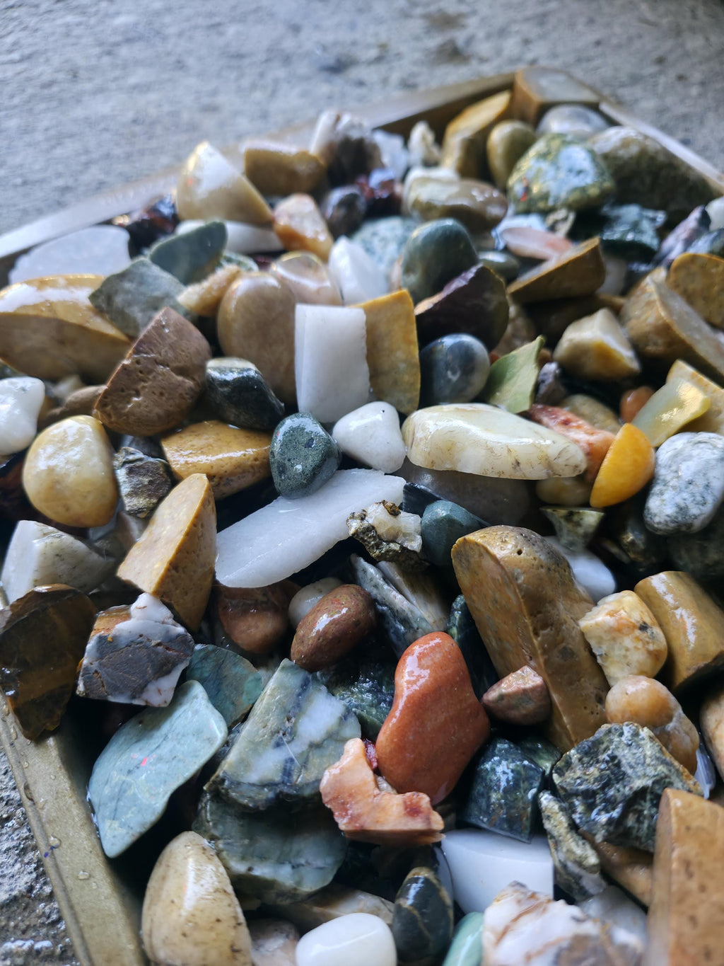 Raw Tumbler Rocks | 12oz Bundle - Raw Pacific Northwest PNW Stones