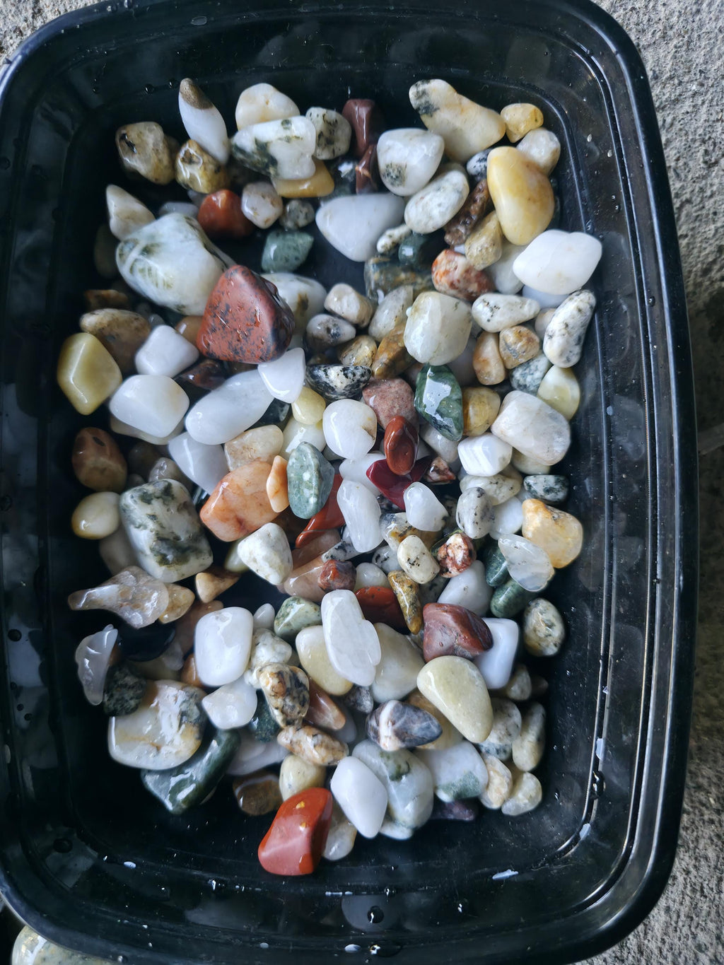 PNW Gemstone Mix: 12oz Pre-tumbled Cabochon Jewelry Rocks