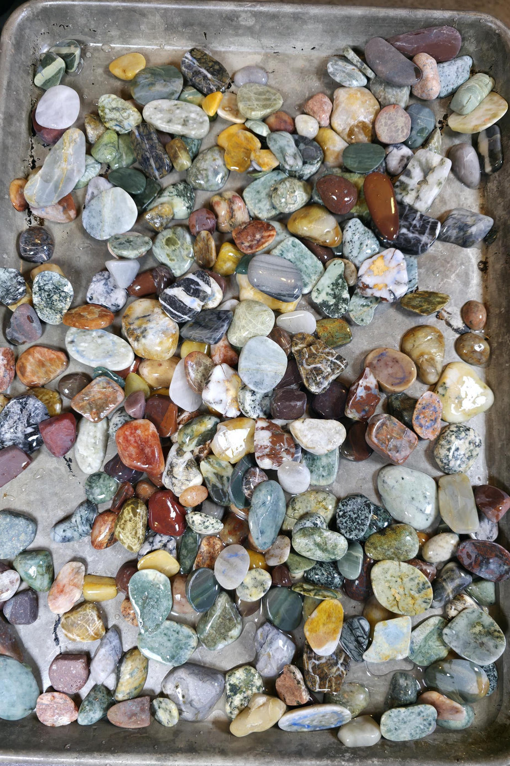 PNW Gemstone Mix: 12oz Pre-tumbled Cabochon Jewelry Rocks
