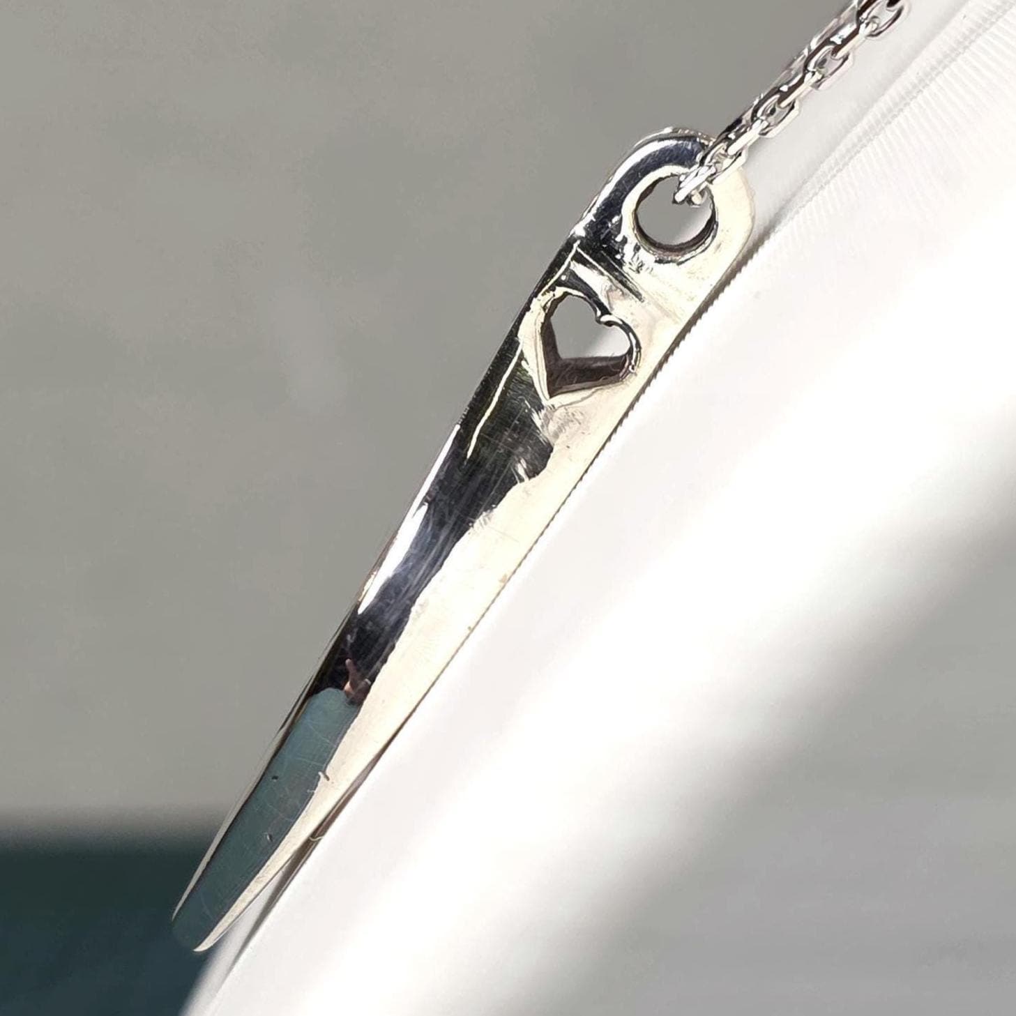 side view of the heart and polish