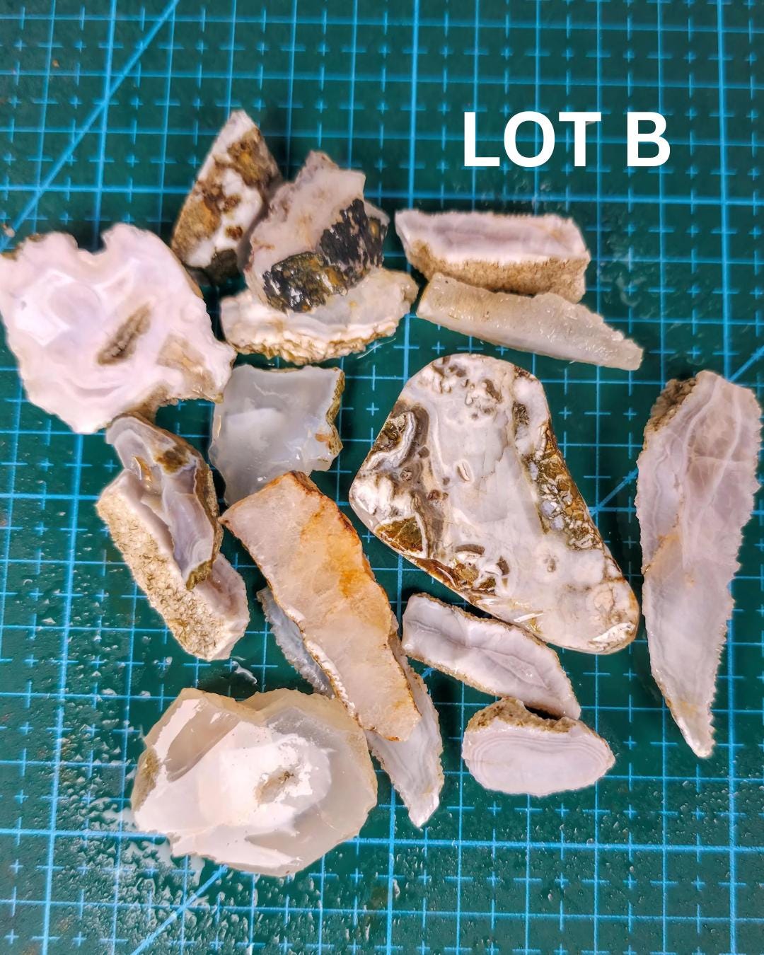 Agate Lapidary Slab Parcel | Washington Agate for Cabochon Jewelry Making