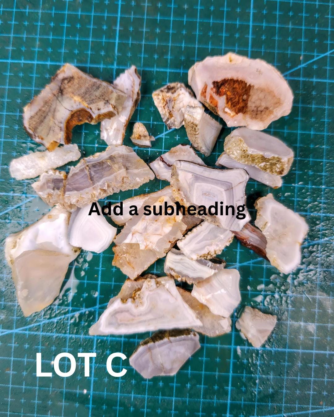 Agate Lapidary Slab Parcel | Washington Agate for Cabochon Jewelry Making
