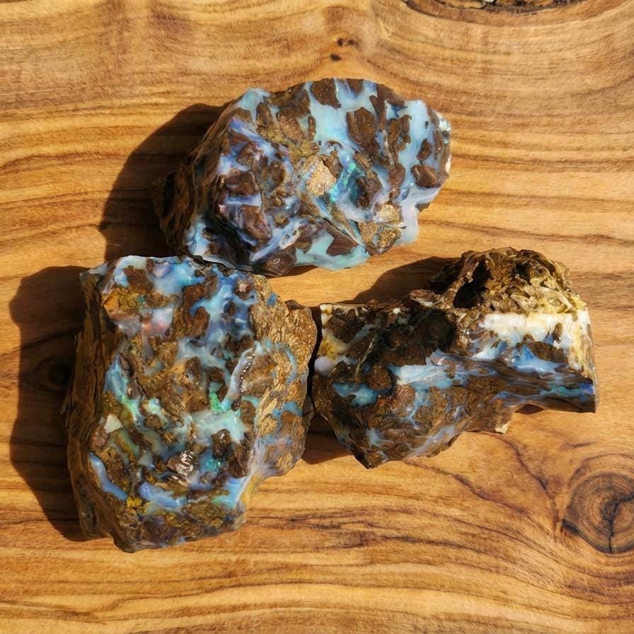 Three pieces of Australian Boulder Opal rough grouped together on a warm-toned wood surface. Each stone shows blue, green, and white opal seams across textured ironstone. Visible fire in multiple angles. Ideal lapidary material for cabochon making, slicing, and practicing seam-following techniques.