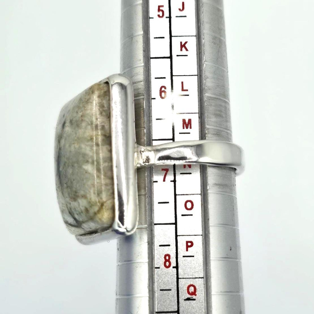 front view, blasted with light, under magnification