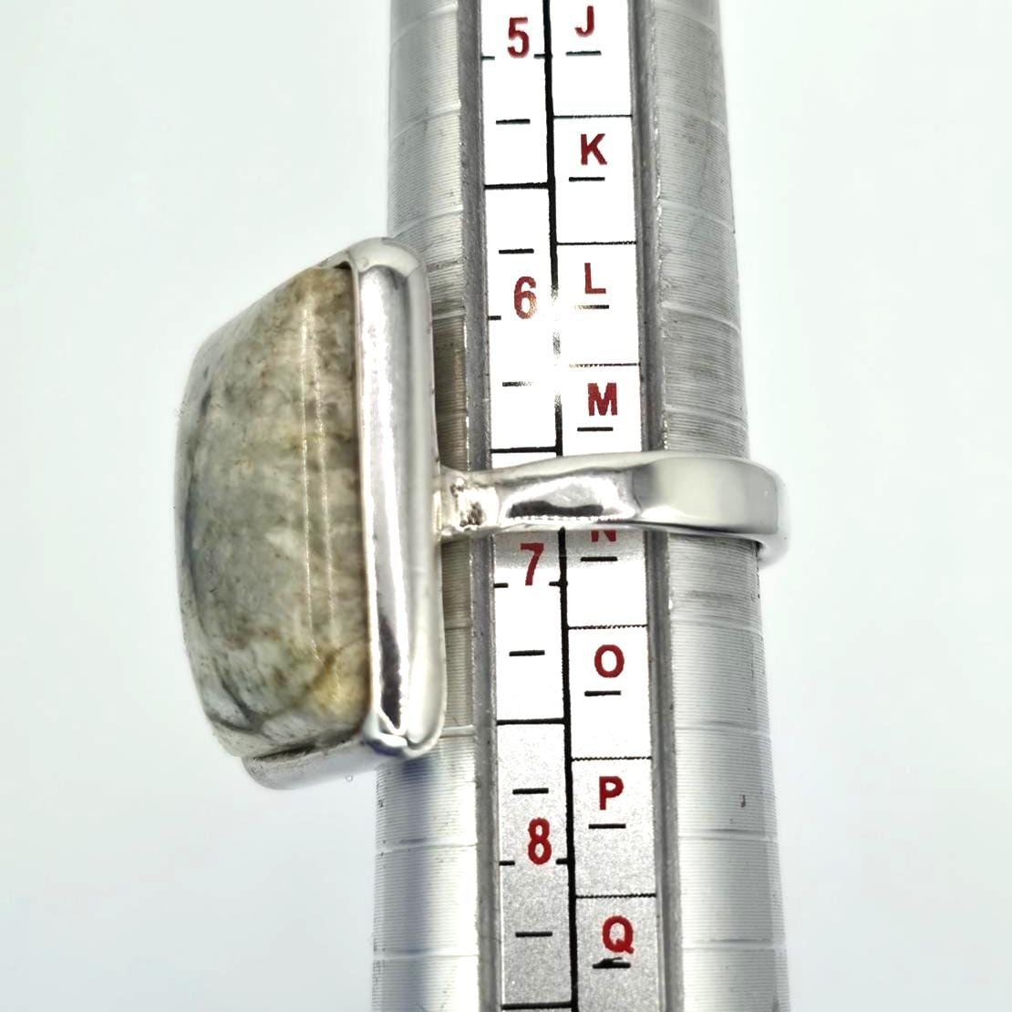 front view, blasted with light, under magnification