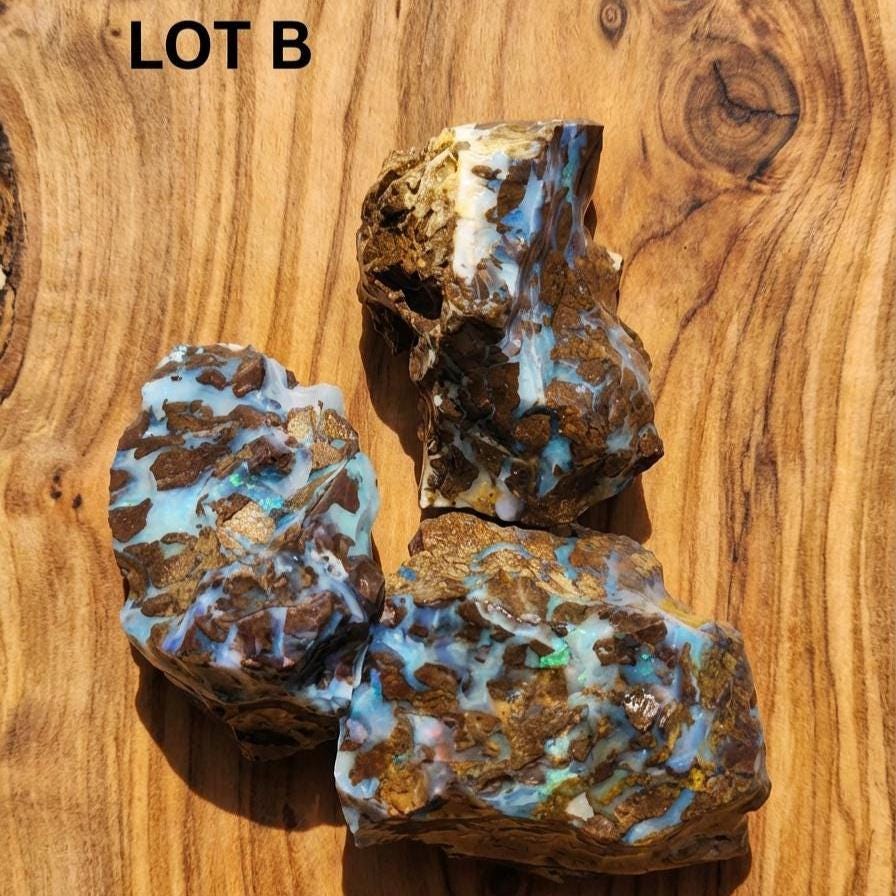 Boulder Opal rough labeled Lot B, showing three stones with bright blue and green fire streaks within ironstone. White and blue opal veins run across broken surfaces. Natural texture, raw and untreated. Suitable for cutters seeking high-contrast opal patterns and stable host material from Queensland, Australia.