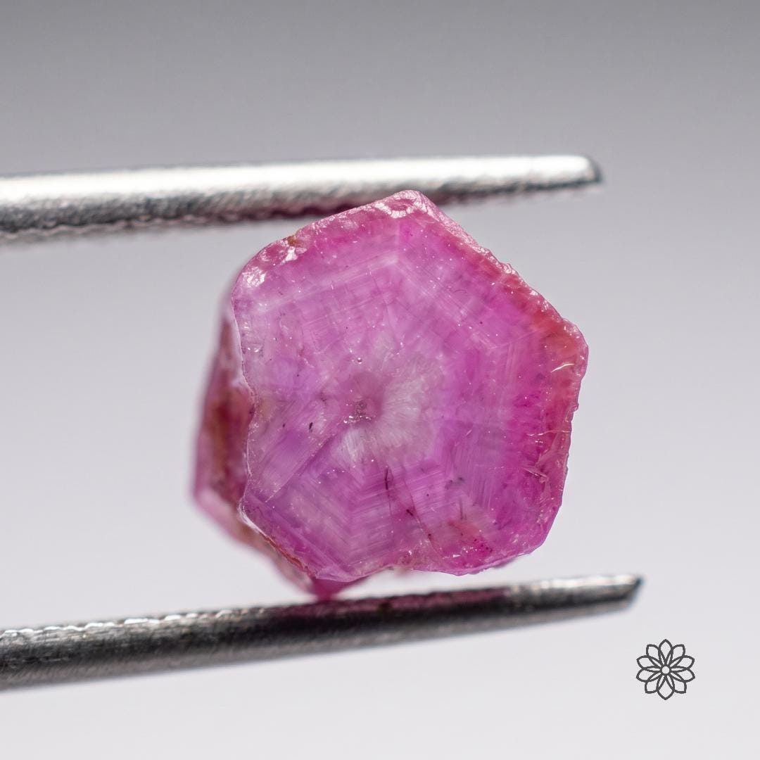 Macro view of a single pink Madagascar ruby or sapphire crystal held in tweezers, showing natural hexagonal crystal form, pink color zoning, internal silk, and surface texture. This close detail helps lapidary artists inspect rough corundum character for cabochon cutting, exploratory faceting, carving, and jewelry material selection.