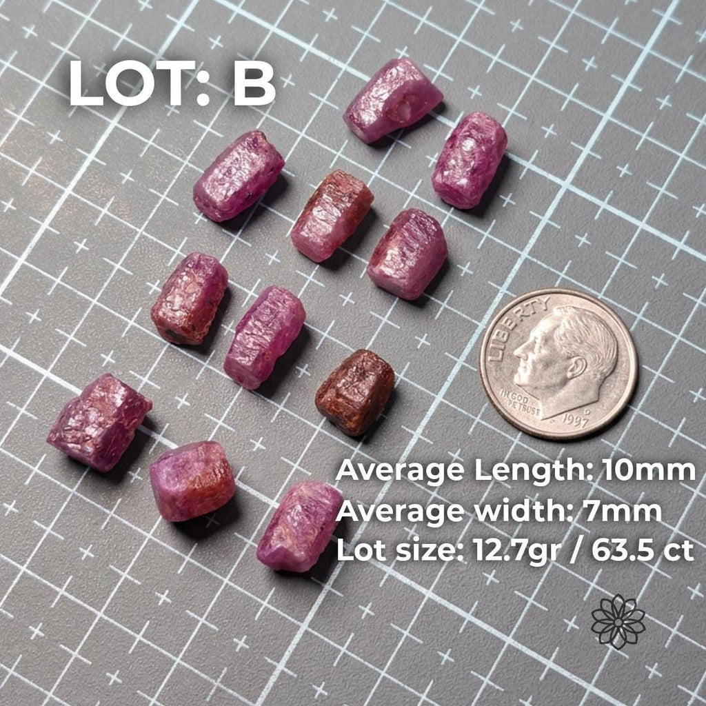 Lot B of natural pink Madagascar ruby and sapphire rough displayed on a measuring grid beside a dime for scale. Text lists average length 10mm, average width 7mm, and lot size 12.7 grams or 63.5 carats. The parcel includes larger pink and reddish corundum pieces suited for cabbing, carving, beads, and lapidary experimentation.