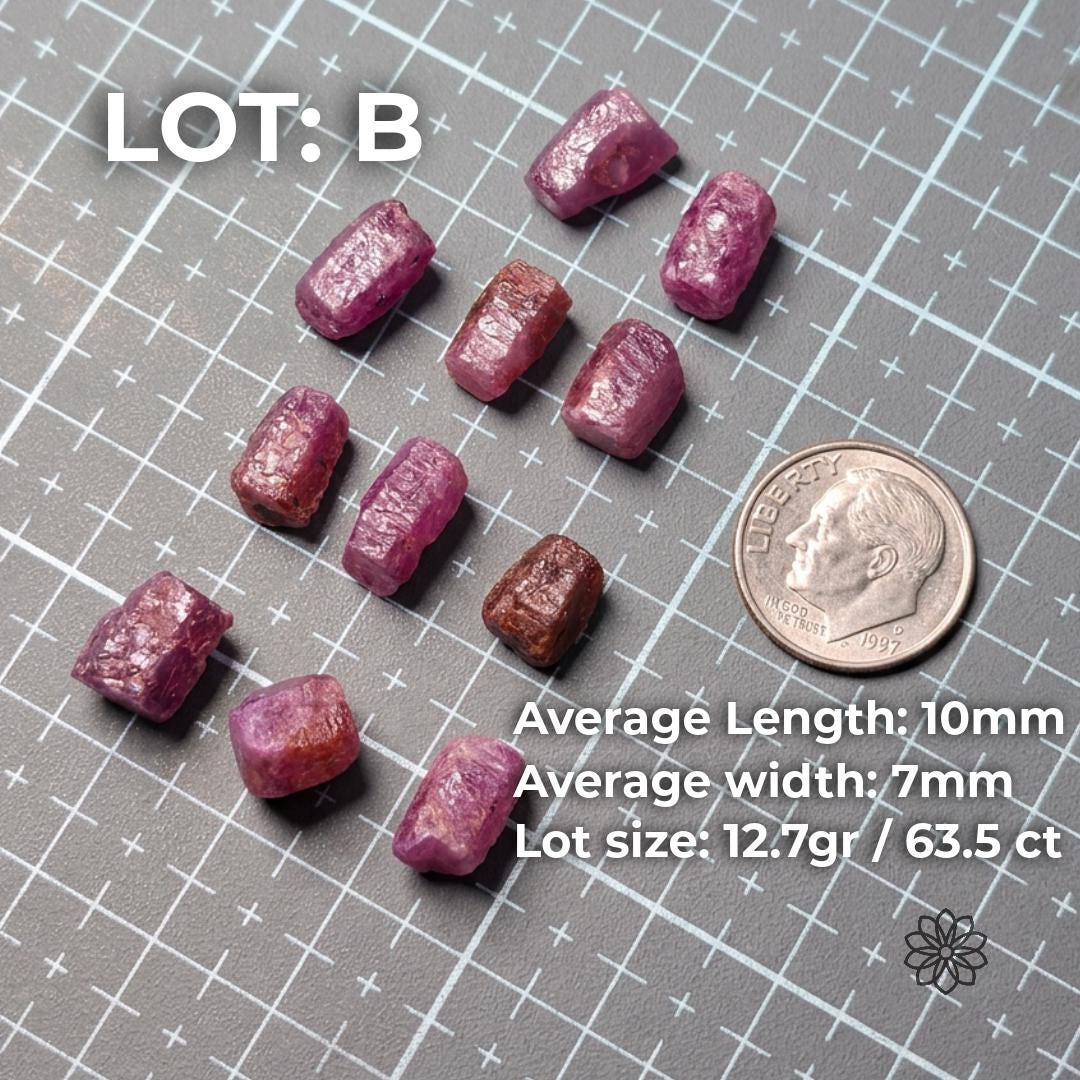 Lot B of natural pink Madagascar ruby and sapphire rough displayed on a measuring grid beside a dime for scale. Text lists average length 10mm, average width 7mm, and lot size 12.7 grams or 63.5 carats. The parcel includes larger pink and reddish corundum pieces suited for cabbing, carving, beads, and lapidary experimentation.