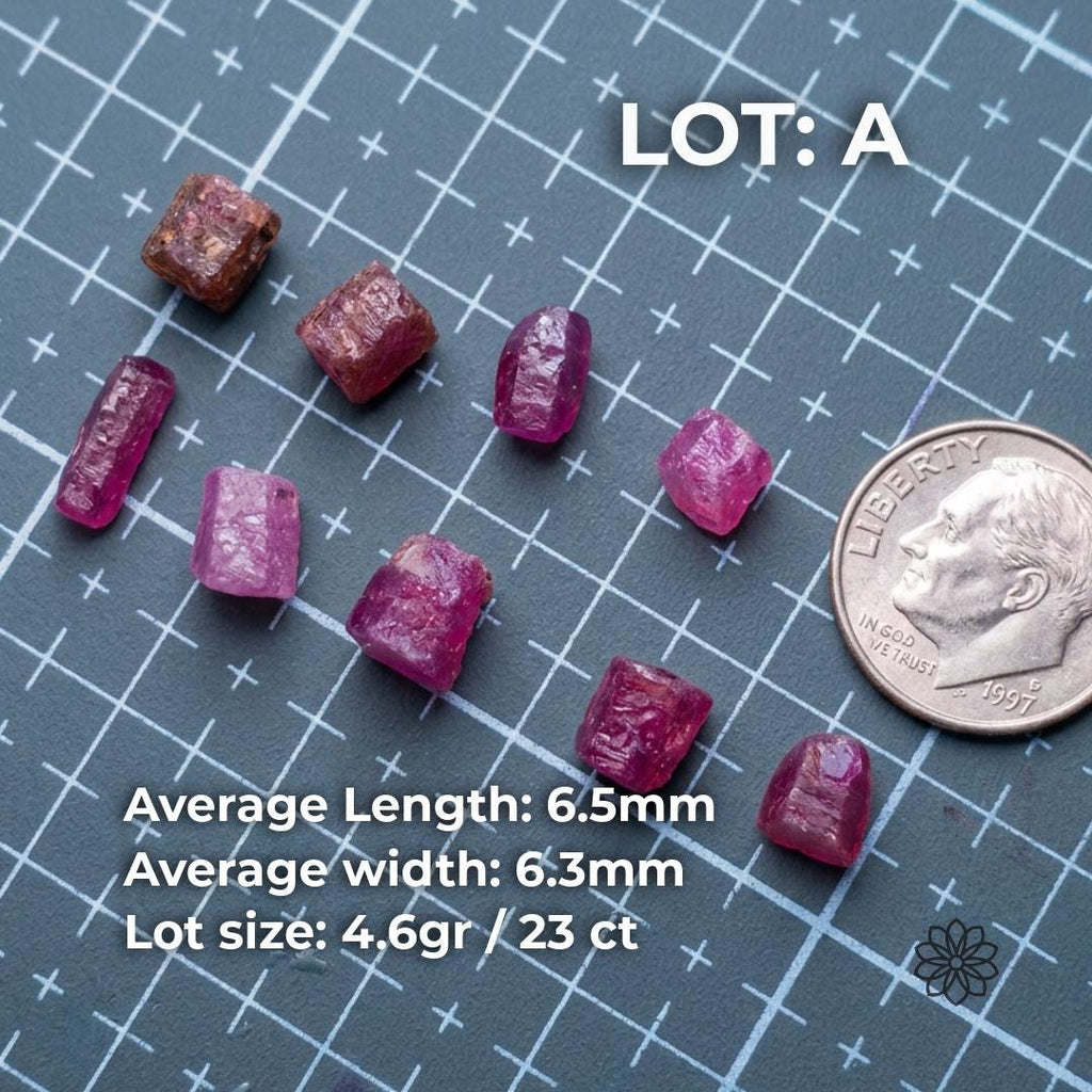 Lot A of natural pink Madagascar ruby and sapphire rough shown on a grid mat beside a dime for scale. Text lists average length 6.5mm, average width 6.3mm, and lot size 4.6 grams or 23 carats. The parcel shows varied pink corundum pieces for cabbing, small jewelry stones, carving, and exploratory cutting.